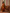 Rust and Mustard Ikat Cotton Printed Kurta Set