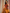 Rust and Mustard Ikat Cotton Printed Kurta Set