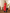 Red Blue Linen Straight 2-Piece Kurta Set