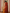 Rust and Mustard Ikat Printed Cotton Kurta
