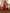 Red Cotton Flower Applique Tube Kurta