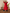 Red Blue Linen Asymmetrical Kurta