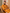 Mustard Ikat Printed Cotton Kurta With Embroidery