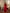 Red Blue Linen Straight 2-Piece Kurta Set