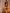 Rust and Mustard Ikat Printed Cotton Kurta
