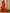 Red and Yellow Printed Cotton Doria Kurta Set